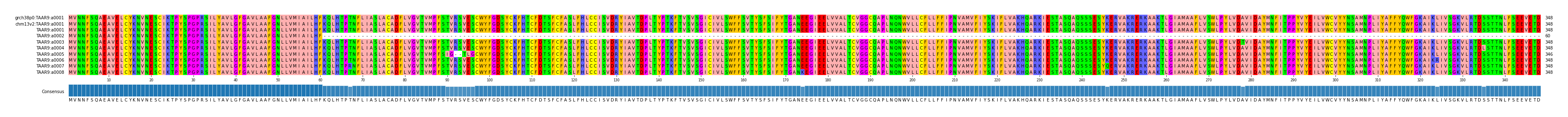 Multiple Alignments (by translate haplotype frequency)