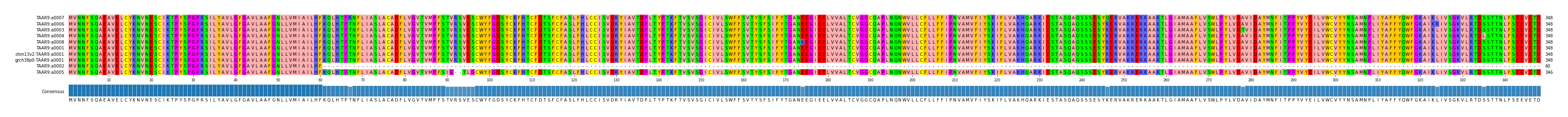Multiple Alignments (by translate haplotype similarity)