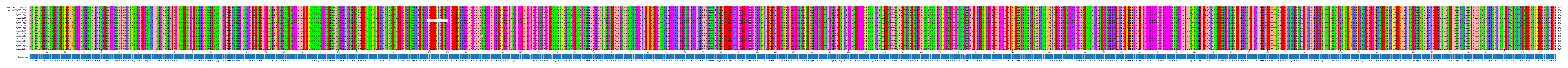 Multiple Alignments (by translate haplotype frequency)