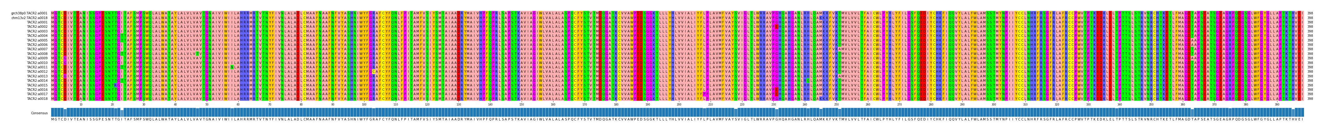 Multiple Alignments (by translate haplotype frequency)