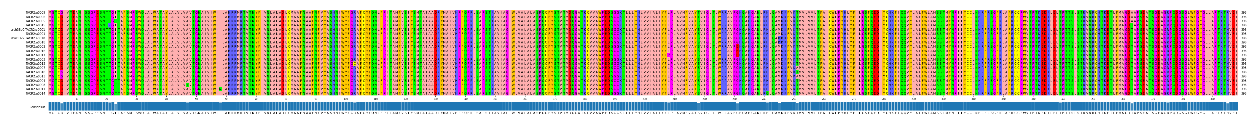 Multiple Alignments (by translate haplotype similarity)