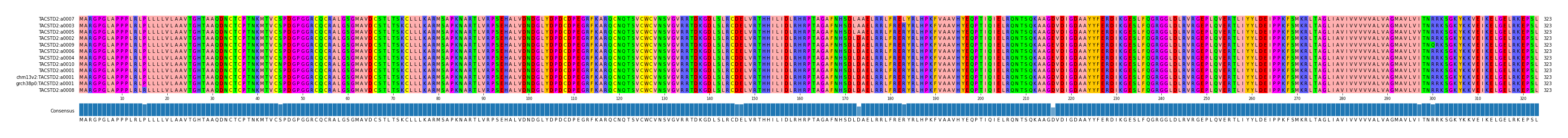 Multiple Alignments (by translate haplotype similarity)