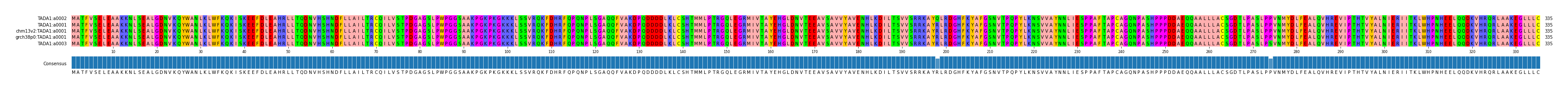 Multiple Alignments (by translate haplotype similarity)