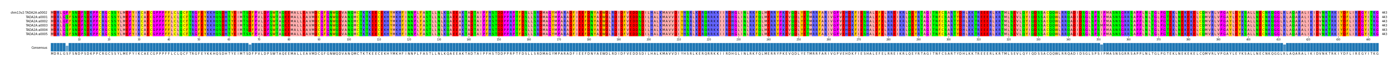 Multiple Alignments (by translate haplotype frequency)