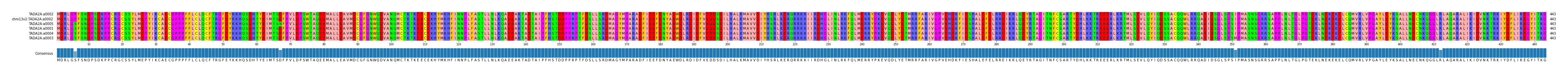 Multiple Alignments (by translate haplotype similarity)