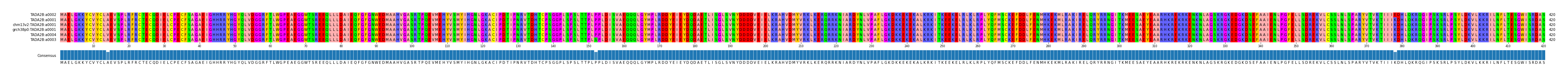 Multiple Alignments (by translate haplotype similarity)