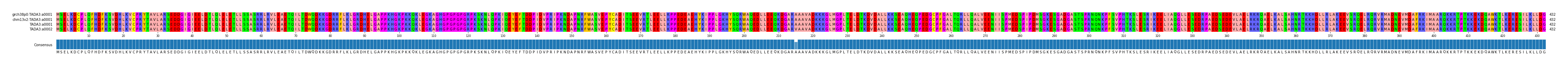 Multiple Alignments (by translate haplotype similarity)