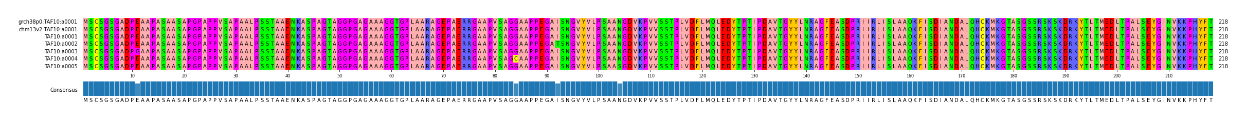 Multiple Alignments (by translate haplotype frequency)
