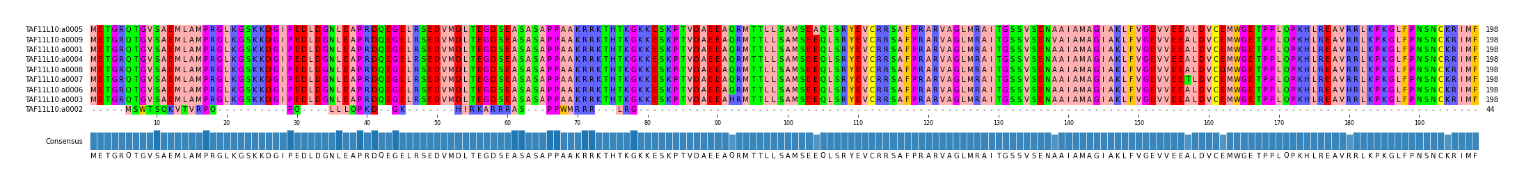 Multiple Alignments (by translate haplotype similarity)