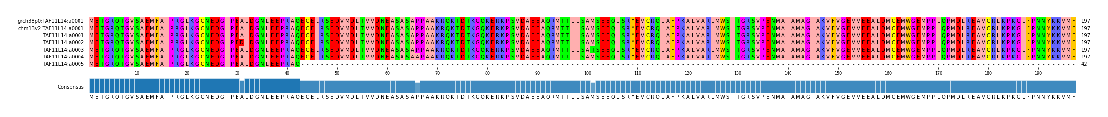 Multiple Alignments (by translate haplotype frequency)