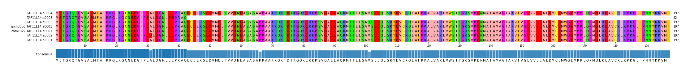 Multiple Alignments (by translate haplotype similarity)