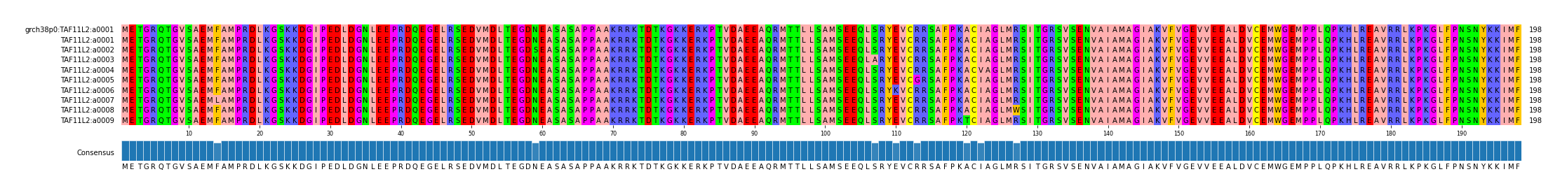Multiple Alignments (by translate haplotype frequency)