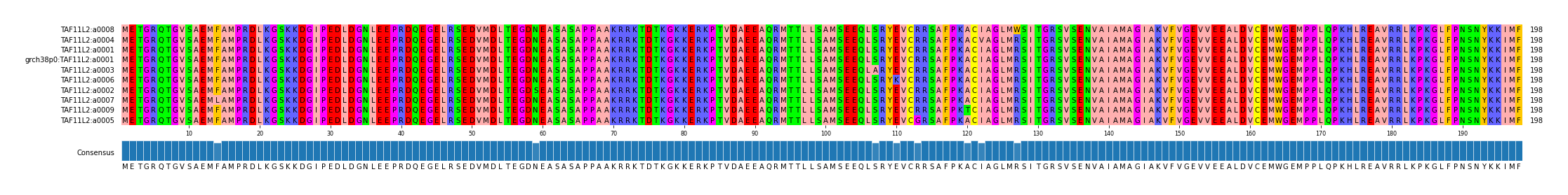 Multiple Alignments (by translate haplotype similarity)
