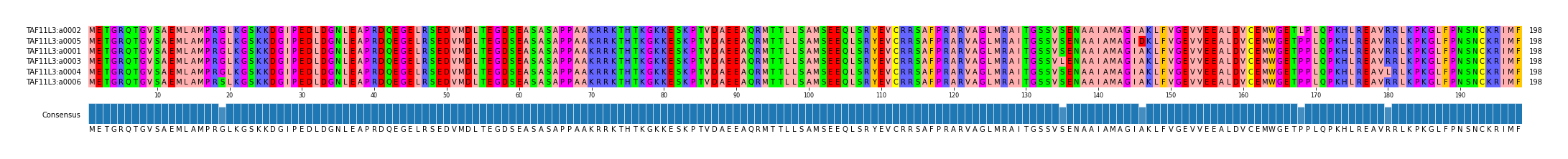 Multiple Alignments (by translate haplotype similarity)