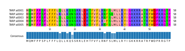 Multiple Alignments (by translate haplotype frequency)