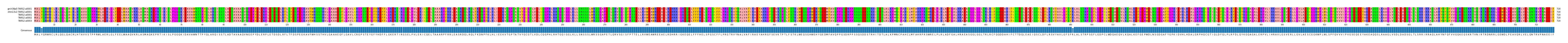Multiple Alignments (by translate haplotype frequency)