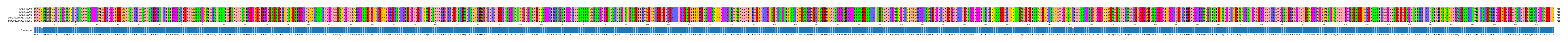 Multiple Alignments (by translate haplotype similarity)