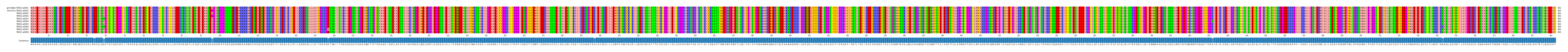 Multiple Alignments (by translate haplotype frequency)