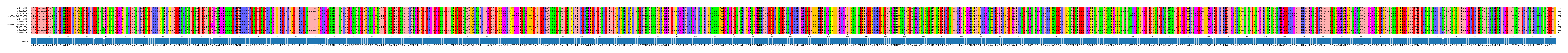 Multiple Alignments (by translate haplotype similarity)
