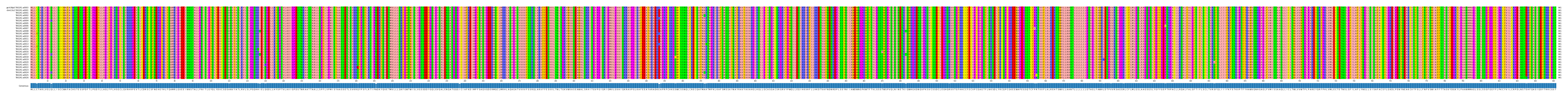 Multiple Alignments (by translate haplotype frequency)
