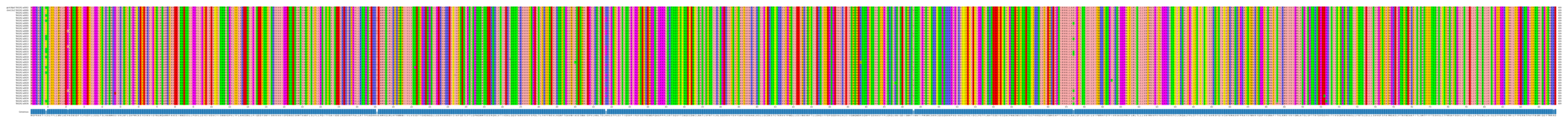 Multiple Alignments (by translate haplotype frequency)
