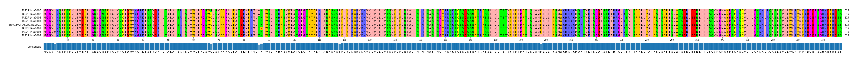 Multiple Alignments (by translate haplotype similarity)