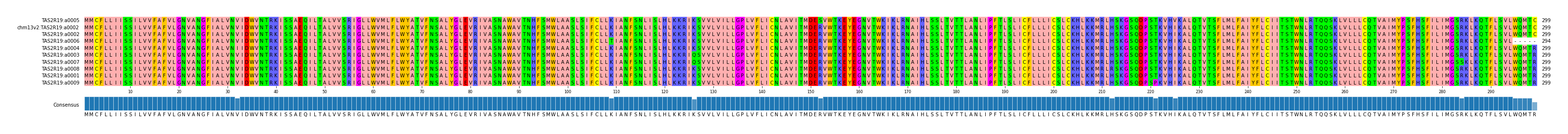 Multiple Alignments (by translate haplotype similarity)