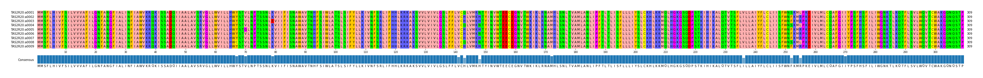 Multiple Alignments (by translate haplotype frequency)