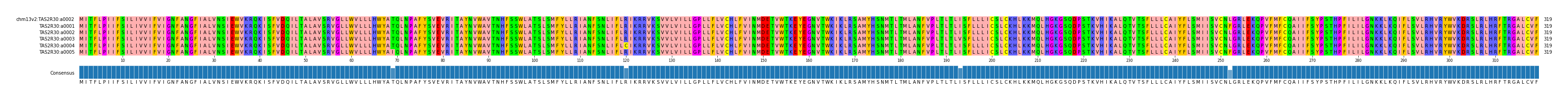 Multiple Alignments (by translate haplotype frequency)
