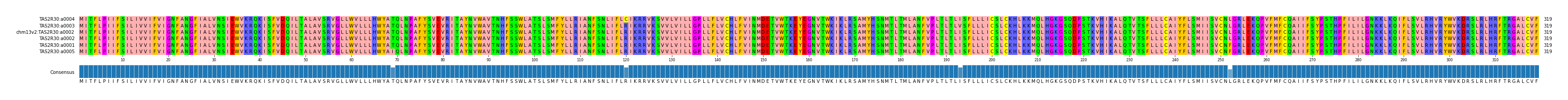 Multiple Alignments (by translate haplotype similarity)