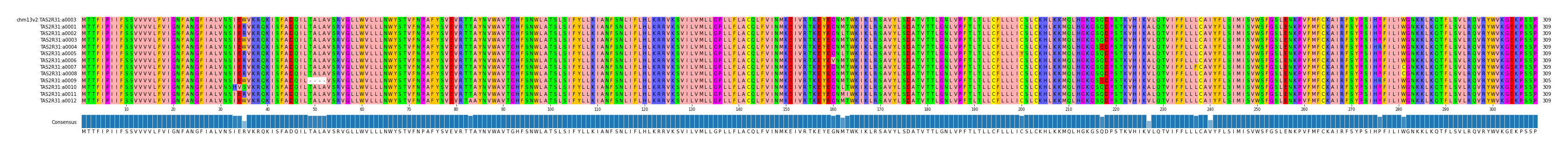 Multiple Alignments (by translate haplotype frequency)