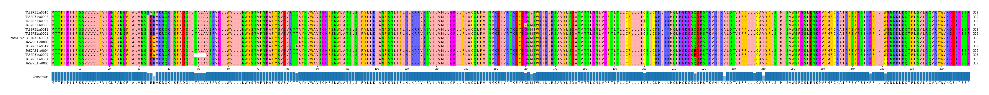 Multiple Alignments (by translate haplotype similarity)