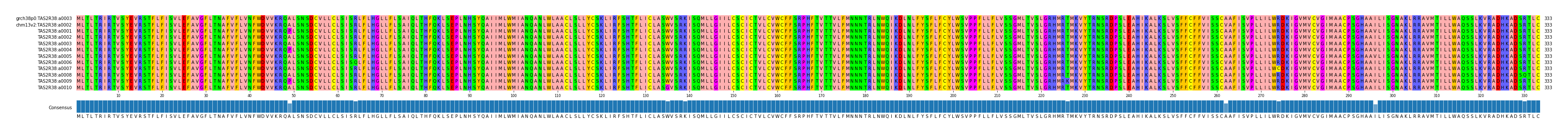 Multiple Alignments (by translate haplotype frequency)