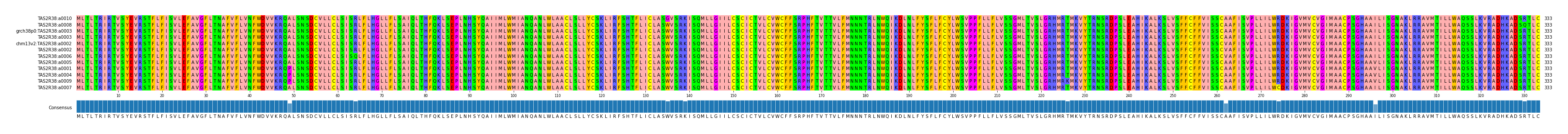 Multiple Alignments (by translate haplotype similarity)