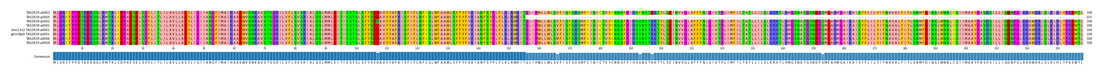 Multiple Alignments (by translate haplotype similarity)