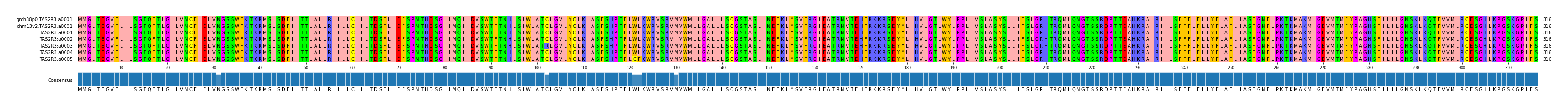 Multiple Alignments (by translate haplotype frequency)