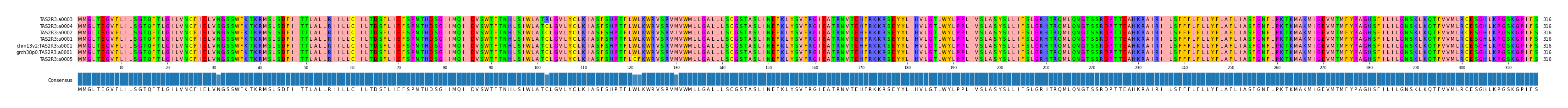 Multiple Alignments (by translate haplotype similarity)