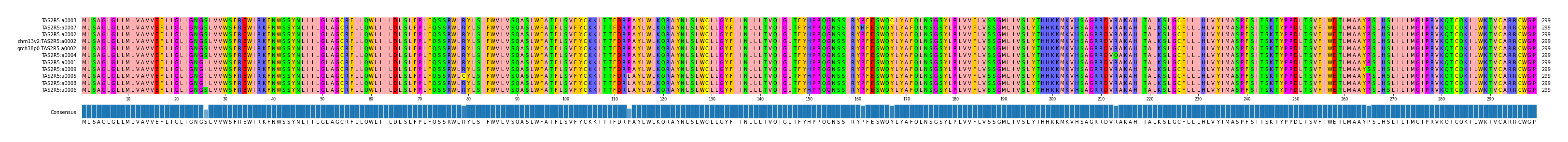 Multiple Alignments (by translate haplotype similarity)