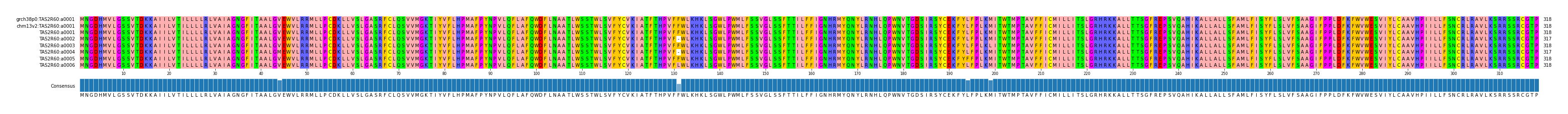 Multiple Alignments (by translate haplotype frequency)
