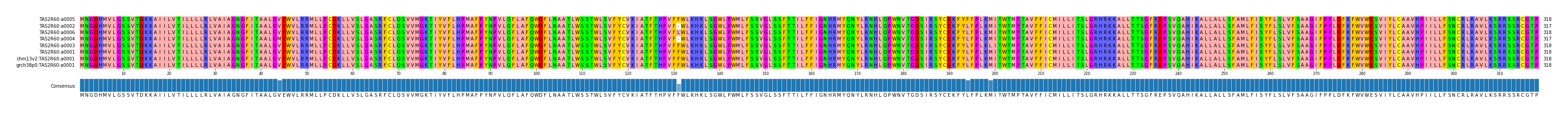 Multiple Alignments (by translate haplotype similarity)