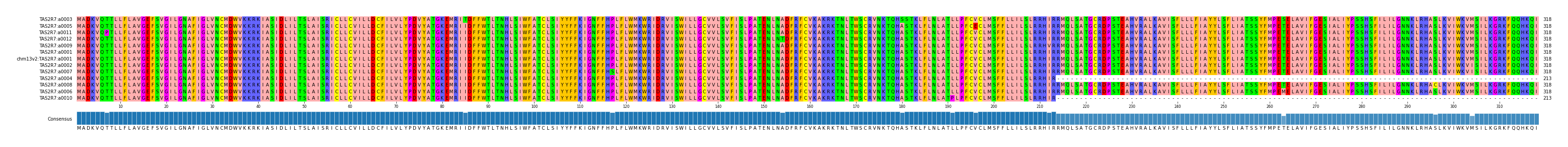 Multiple Alignments (by translate haplotype similarity)