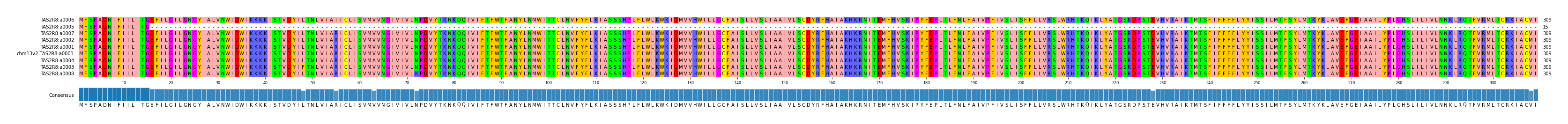 Multiple Alignments (by translate haplotype similarity)