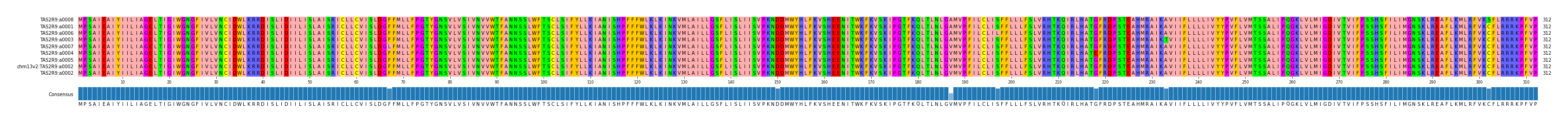 Multiple Alignments (by translate haplotype similarity)