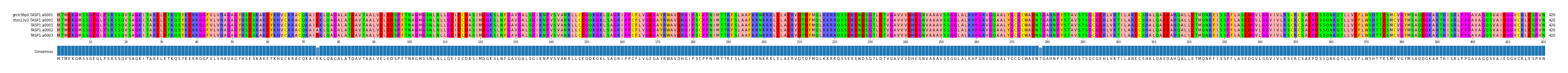 Multiple Alignments (by translate haplotype frequency)