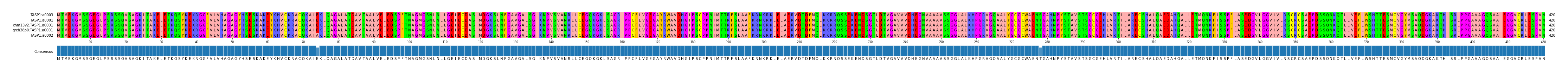 Multiple Alignments (by translate haplotype similarity)
