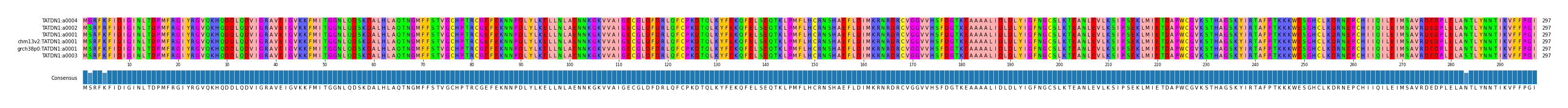 Multiple Alignments (by translate haplotype similarity)