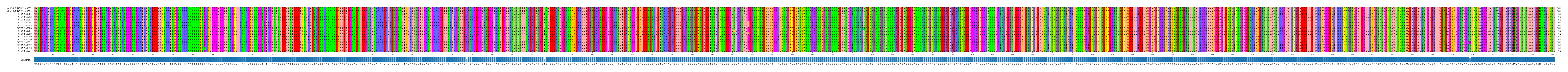 Multiple Alignments (by translate haplotype frequency)