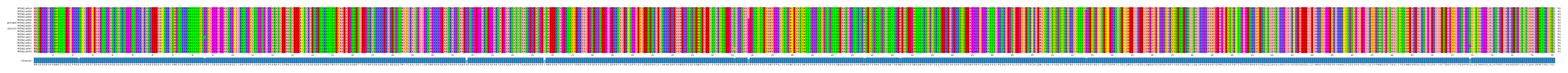 Multiple Alignments (by translate haplotype similarity)