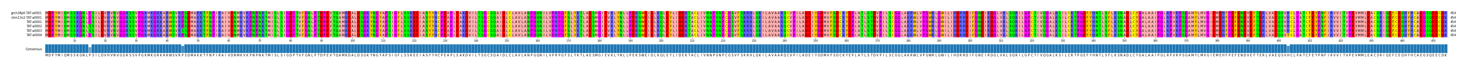 Multiple Alignments (by translate haplotype frequency)