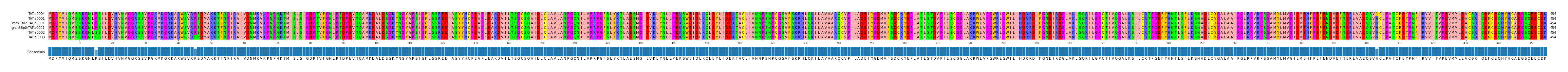 Multiple Alignments (by translate haplotype similarity)